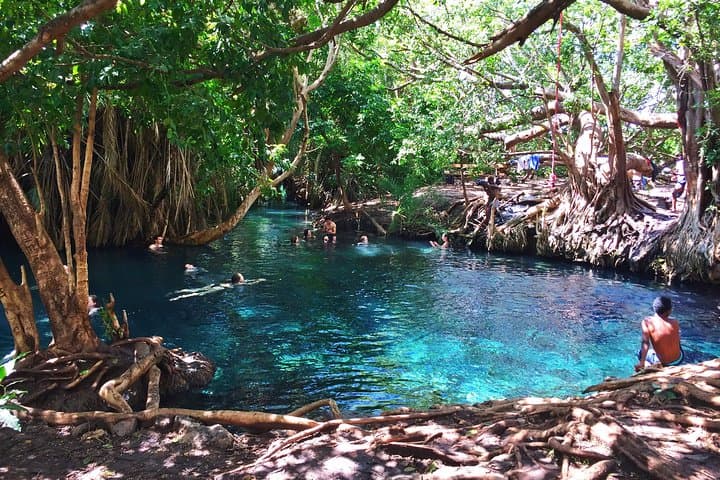 Kikuletwa Hot Springs Day Trip from Moshi — Swim, Picnic & Maasai Visit photo 1