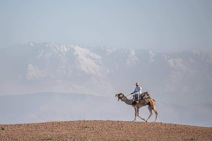 Camel Excursion from Marrakech to Ourika Valley — 1‑Hour Camel Ride & Berber Tea photo 3