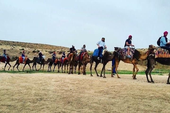 Camel Excursion from Marrakech to Ourika Valley — 1‑Hour Camel Ride & Berber Tea photo 4