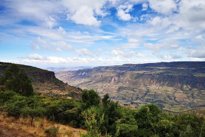 Debre Libanos Monastery Day Trip: Geladas, Gorge Views & Historic Churches photo 5