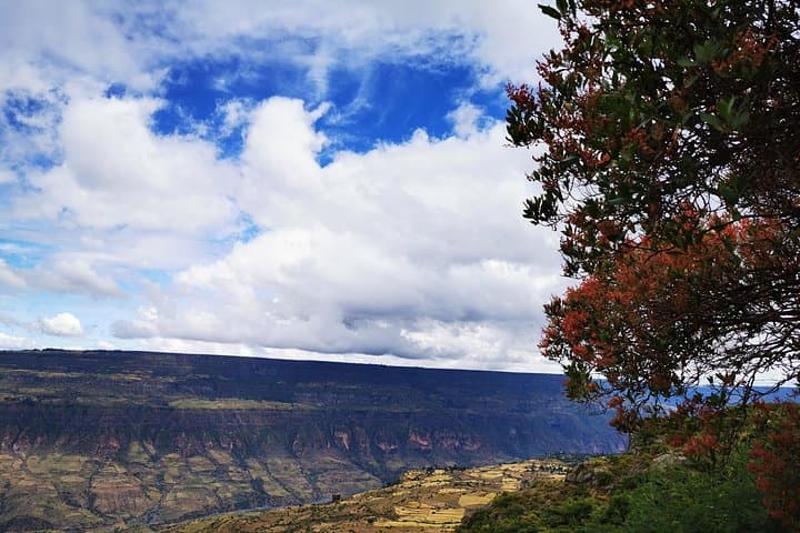 Debre Libanos Monastery Day Trip: Geladas, Gorge Views & Historic Churches photo 6