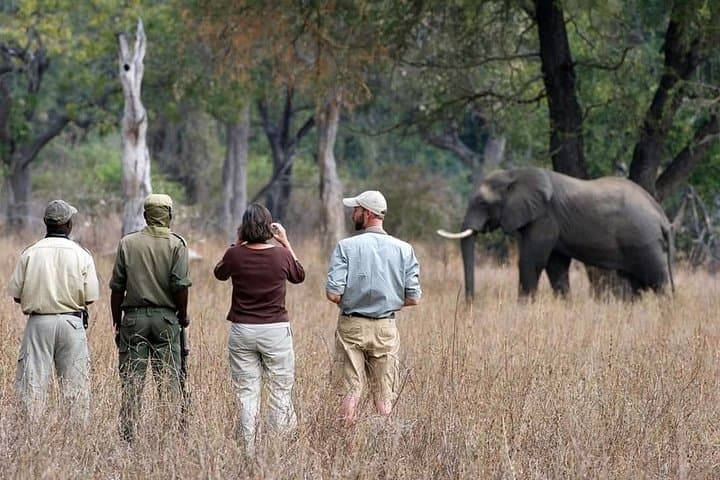 Chobe Safari Day Trip from Victoria Falls — River Cruise and Afternoon Game Drive photo 4