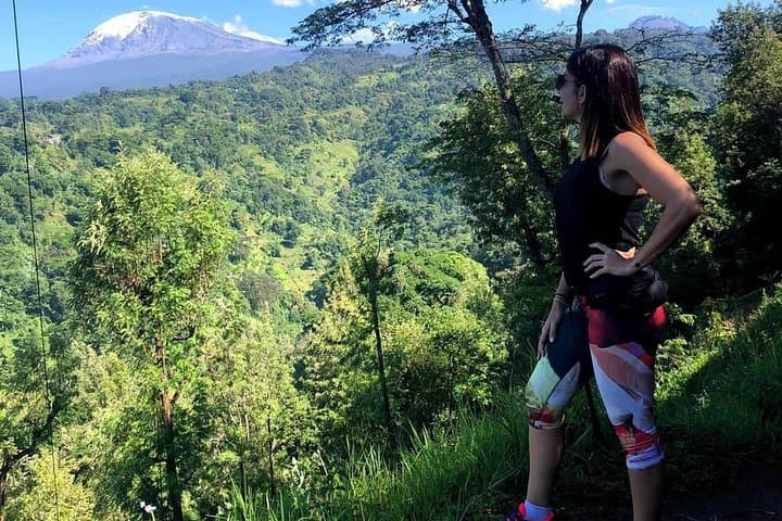 Materuni Waterfalls and Coffee Tour: Trek to the Falls and Chaga Coffee Experience Near Moshi