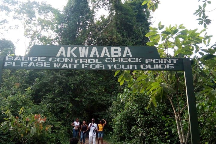 Ghana Heritage Tour: Accra to Kakum Canopy Walk and Cape Coast Castles (3-Day) photo 4