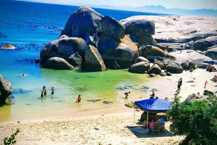 Half-Day Boulders Beach Penguin Tour from Cape Town — See African Penguins Up Close photo 4