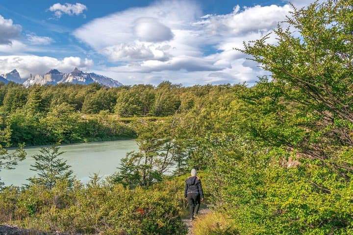 Half-Day Valle Pingo Walk in Torres del Paine — Pingo River Valley Hike photo 6