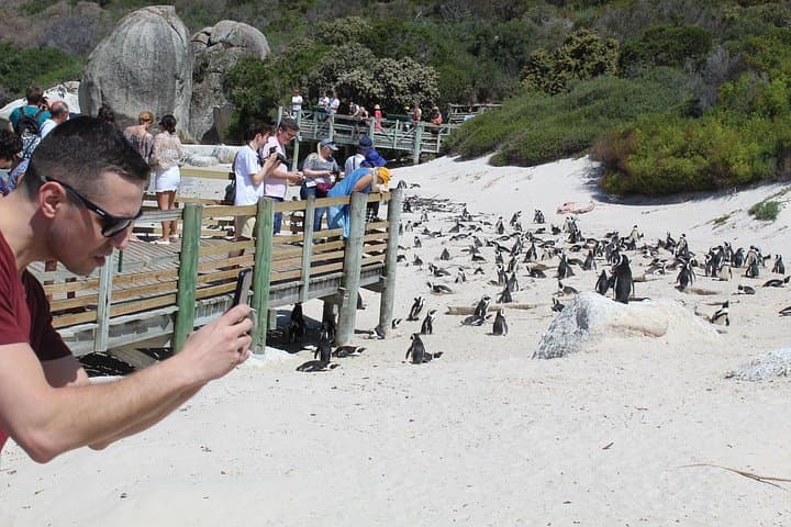 Cape Point, Bo-Kaap & Penguin Colony: Full-Day Cape Town Coastal Tour photo 1