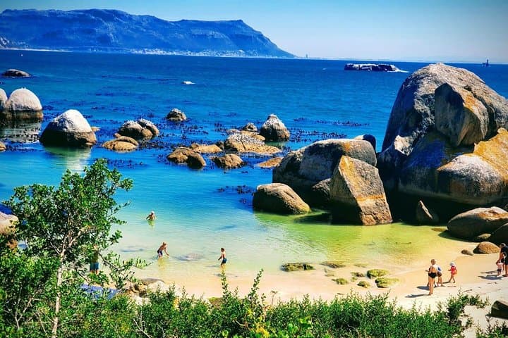 Half-Day Boulders Beach Penguin Tour from Cape Town — See African Penguins Up Close photo 6