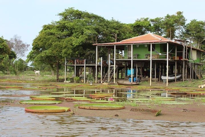 Exploring the Jari Canal: Alter do Chão Boat Tour to Tapajós Beaches & Wildlife photo 4