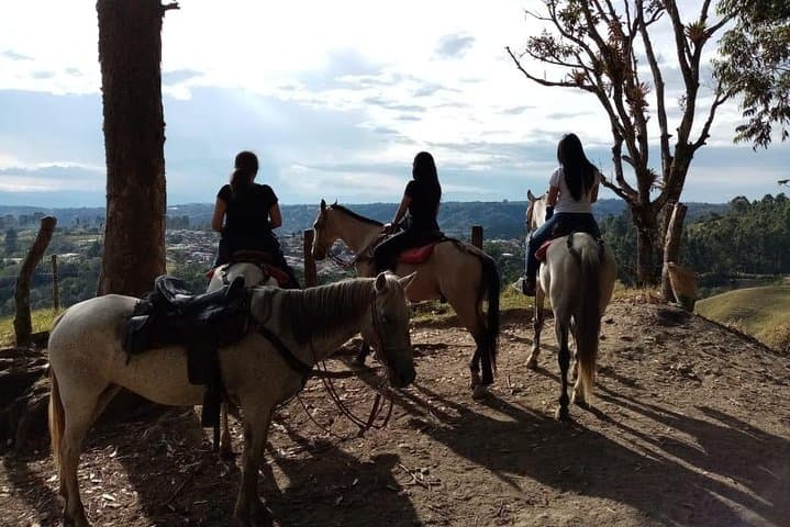 Horseback to Sestillal: Farm Ride and Waterfalls near Salento photo 2