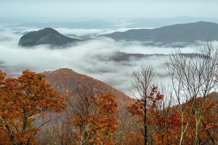 Blue Ridge Full-Day Vistas & Waterfall Photography Tour from Asheville photo 2