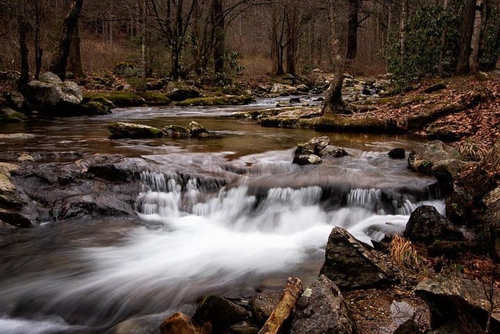 Blue Ridge Full-Day Vistas & Waterfall Photography Tour from Asheville photo 5