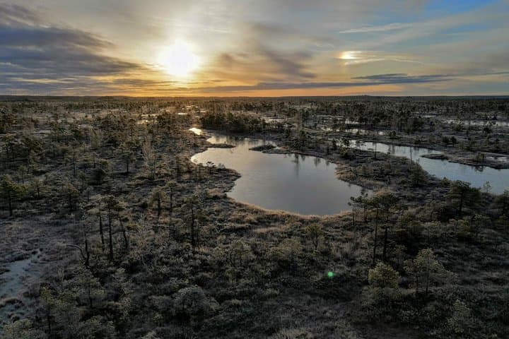 Sunset Walk on the Great Kemeri Bog Boardwalk — Kemeri National Park photo 4