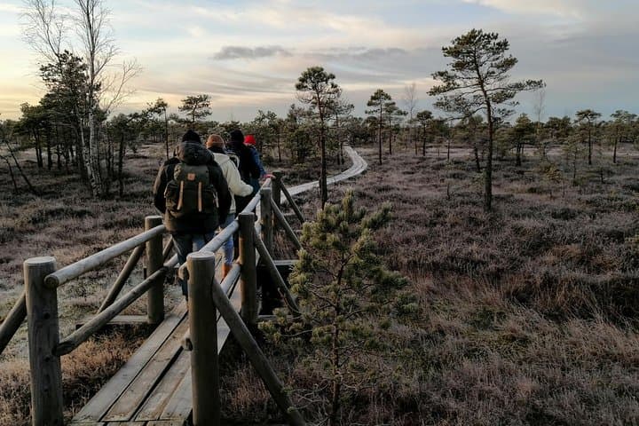Sunset Walk on the Great Kemeri Bog Boardwalk — Kemeri National Park photo 3