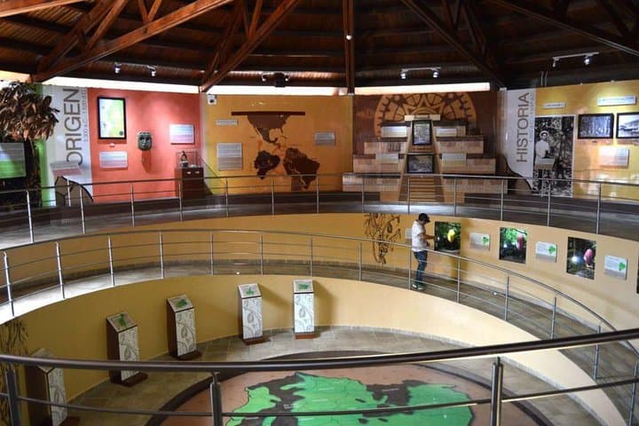 7-Day Quito to Galapagos to Guayaquil: Andean Heights and Island Wildlife photo 4