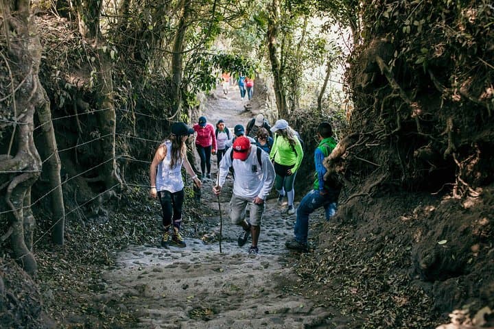 Climb Pacaya Volcano from Guatemala City: Shared Guided Hike to the Summit photo 6