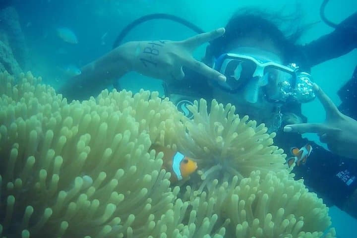 Introductory Shore Scuba Dive at Havelock Islands: First-Timer’s Guide photo 4