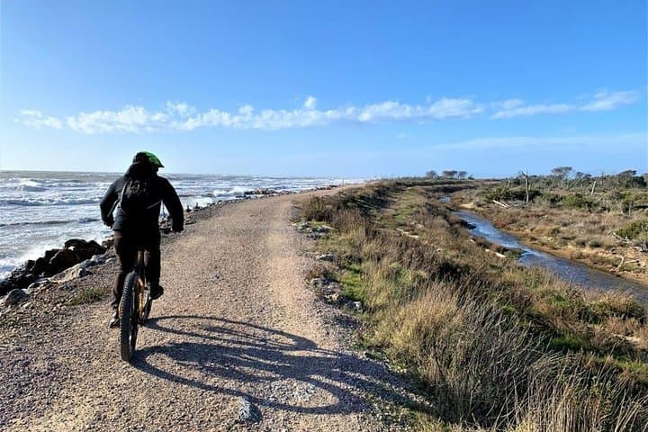 Maremma Natural Park e-Bike Tour — 30 km Coastal Ride & Wild Beach Picnic