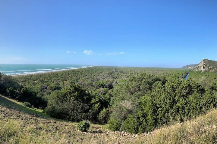 Maremma Natural Park e-Bike Tour — 30 km Coastal Ride & Wild Beach Picnic photo 2