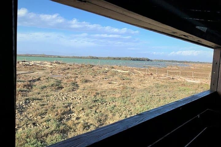 Maremma Natural Park e-Bike Tour — 30 km Coastal Ride & Wild Beach Picnic photo 4
