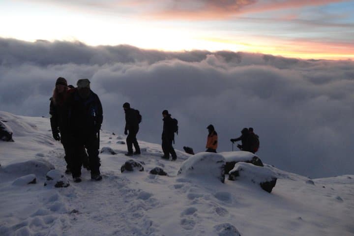 Mount Kilimanjaro 8-Day Lemosho Route: Guided 8-Day Trek to Uhuru Peak photo 4