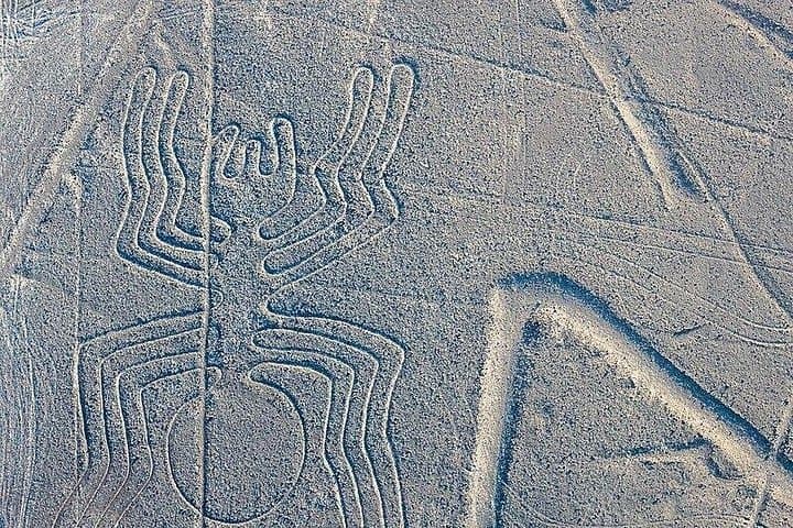 Huacachina Oasis and Nazca Lines Overflight: Full-Day Desert & Aerial Adventure from Lima photo 4