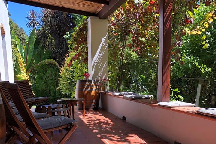 Constantia Wine Valley Private EV Tour: Full-Day Tastings & Historic Estates photo 5