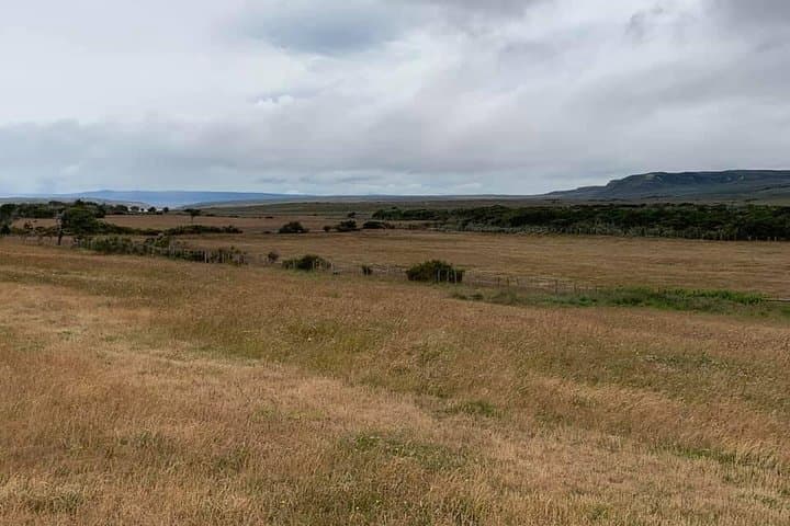 Condor Sighting & Estancia Lunch at Río Verde — Shore Excursion from Punta Arenas photo 3