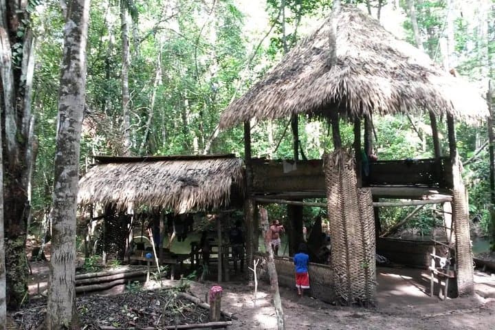 Wild Amorim Adventure: Alter do Chão Tapajós Boat Tour photo 5