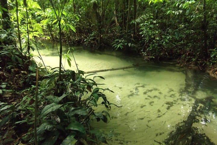 Alter do Chão FLONA Jamaraquá Ecotour — Beaches, Jamaraquá Trail & River Sunset photo 2