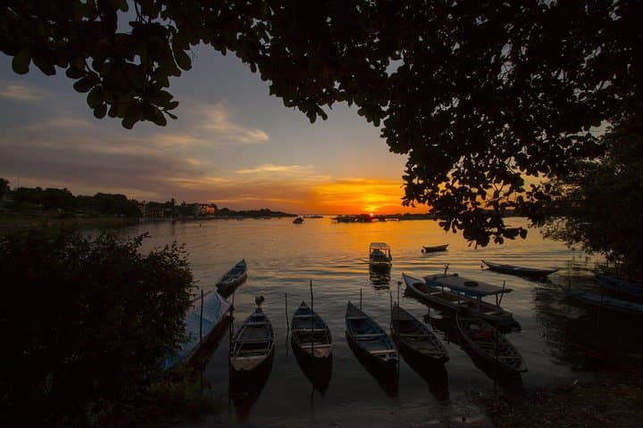 Alter do Chão Sunset Boat Tour — Tapajós Beaches, Enchanted Forest & Wildlife photo 3