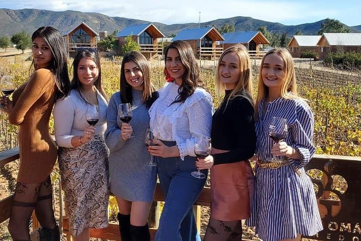 Valle de Guadalupe Wine Tour: Ultimate Baja Wine-and-Dine Experience