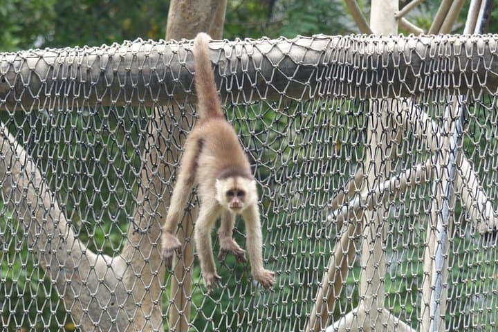 Guayaquil Half-Day: Historic Park, Las Peñas and Cacao Cooking Experience photo 2