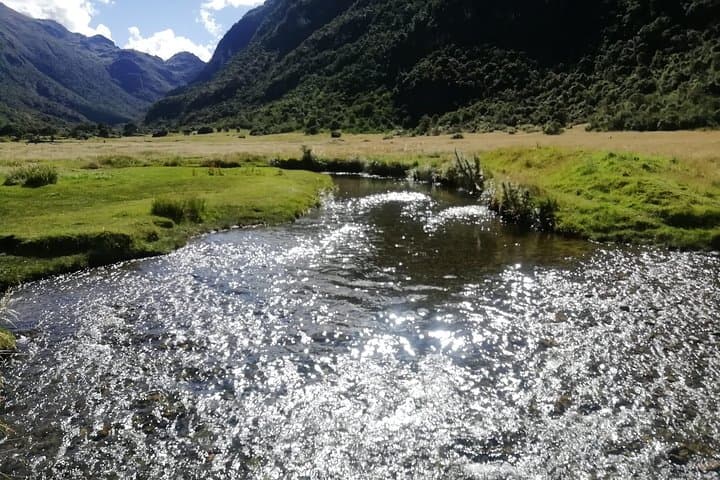 Cajas National Park Hiking Tour from Cuenca — Full-Day Paramo Trek photo 5
