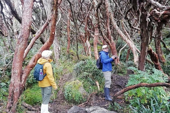 Cajas National Park Hiking Tour from Cuenca — Full-Day Paramo Trek photo 2
