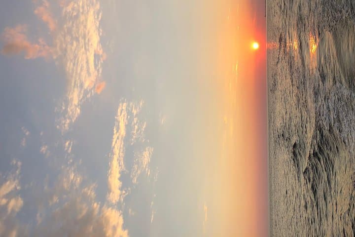 Destin Dolphin Cruise: Harbor Tour to Crab Island & Gulf Sightings photo 3