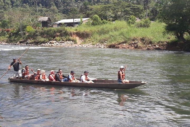 Full-Day Amazon Jungle Tour from Puyo: Hola Vida Reserve Culture, Waterfall & Canoe photo 2