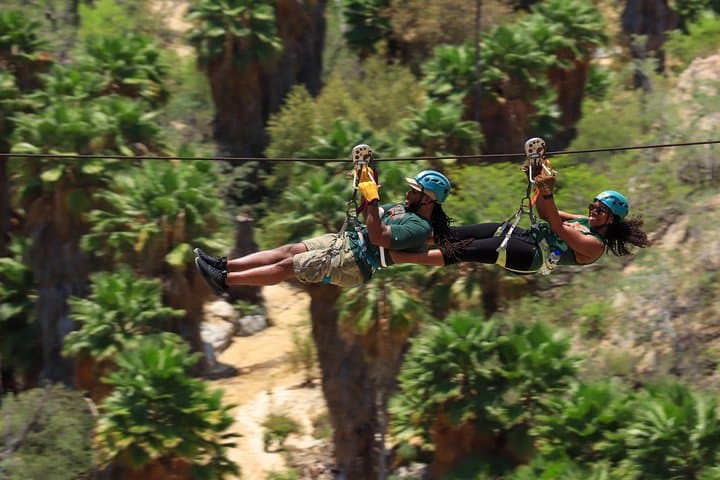 Los Cabos Zip Line: Half-Day Canyon Canopy with Suspension Bridge & Optional Rappel photo 2