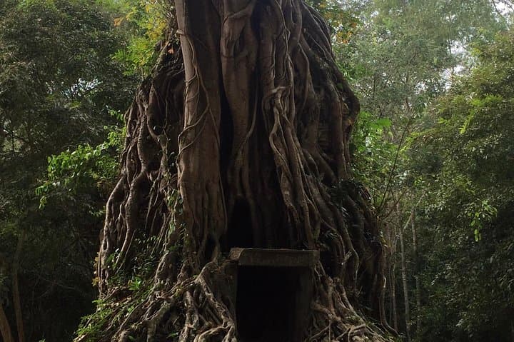 Sambor Prei Kuk: Off-the-Beaten-Track Pre-Angkorian Brick Temples photo 4
