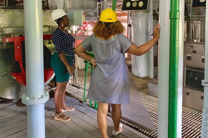 Grenada Eastern Loop: Mt. Carmel Falls, Laura Spice Garden & Clarke's Court Distillery photo 4