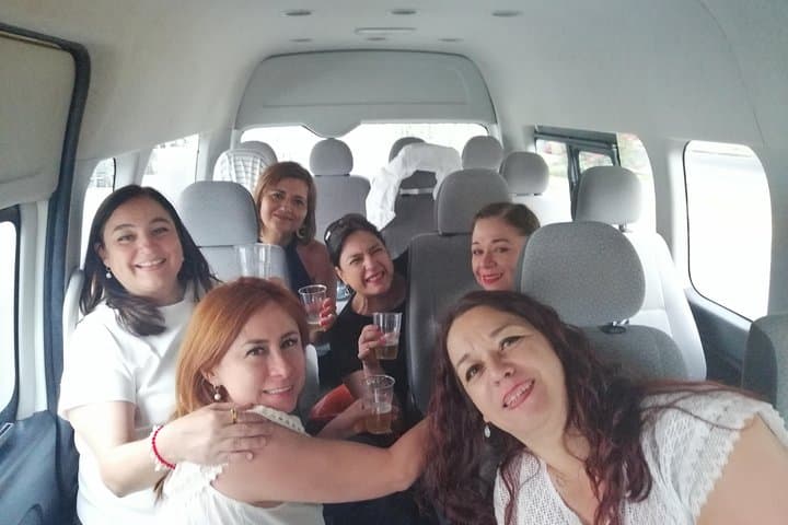 Full-Day Oaxaca: Hierve el Agua, Mitla, Mezcal & Tule Tree Tour photo 6