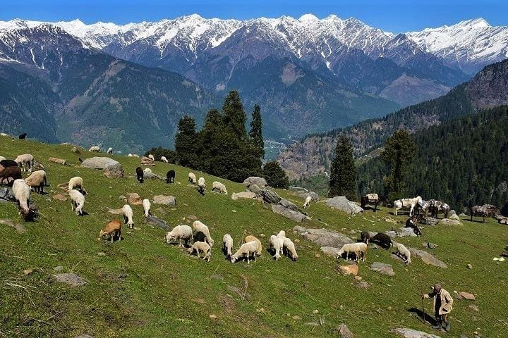 Private One-Day Hiking Trip in Manali — Scenic Mountain Trail & Himachal Views photo 2