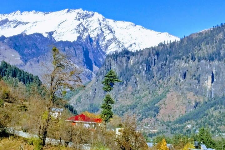 Private One-Day Hiking Trip in Manali — Scenic Mountain Trail & Himachal Views
