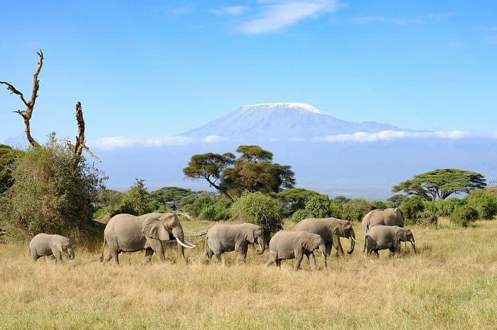 3-Day Amboseli Private Safari: Kilimanjaro Views & Big Game