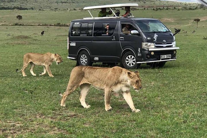 8-Day Stunning Safari in Kenya and Tanzania — Masai Mara, Ngorongoro & Serengeti photo 4