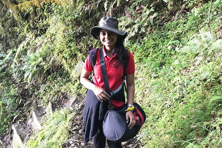 Dzukou Valley Trek: 3-Day Oddessemania Camp to the Dzüko Lily Meadows photo 3