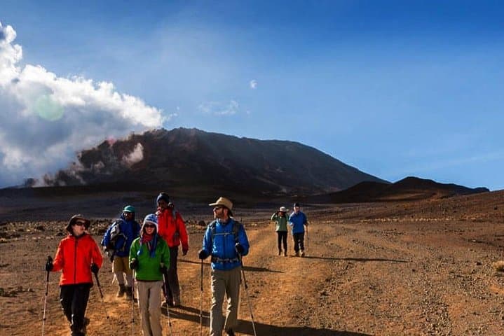 6-Day Rongai Route Trek to Mount Kilimanjaro (Summit via Northeast) photo 3
