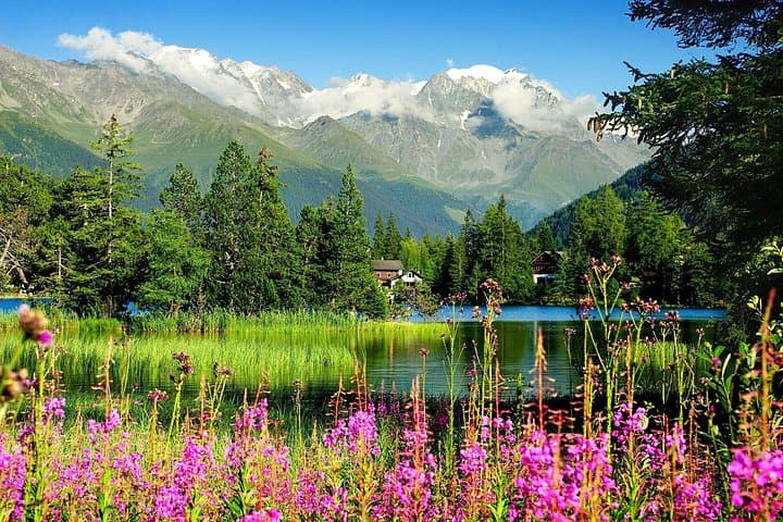Geneva to Chamonix & Montreux: Private Day Trip to Aiguille du Midi and Château de Chillon photo 2