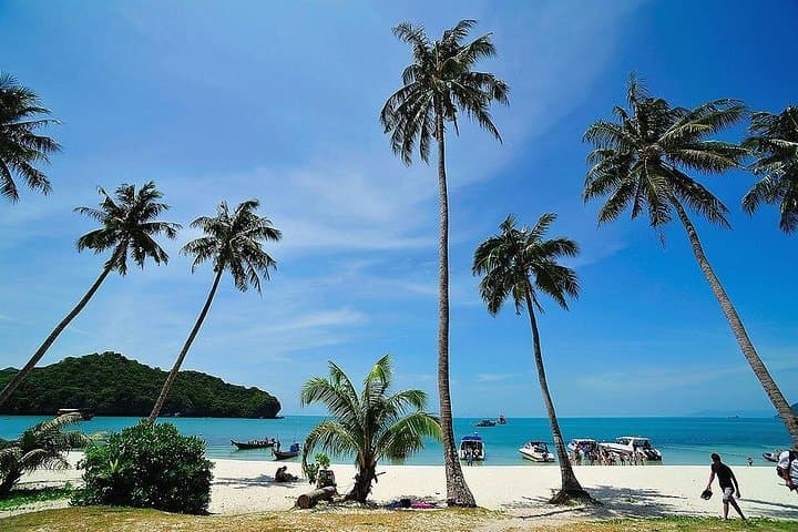 Speed Boat to Angthong Marine Park: Snorkel, Kayak & View the Emerald Lagoon photo 4