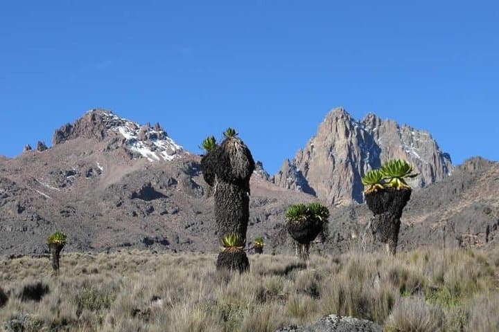 Ol Pejeta Overnight Safari and Mount Kenya Short Ascent photo 4